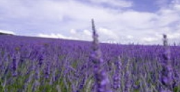 北京哪个癫痫病医院看的最好?