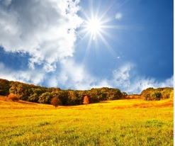 癫痫病根治要多少钱