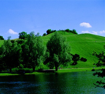 山东癫痫好治不