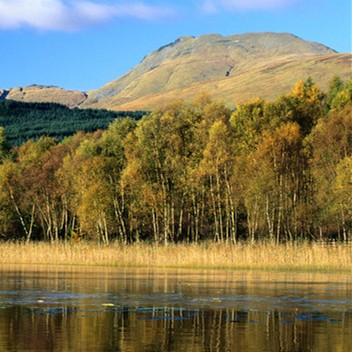 合肥癫痫防治研究所