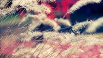 西安癫痫的中医治疗