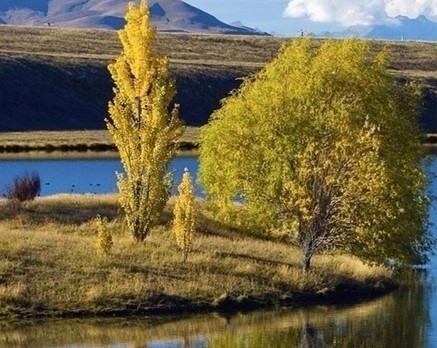 湖北癫痫病医院哪个好