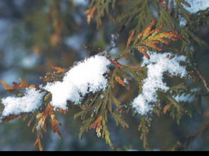长沙癫痫病医院哪家最好
