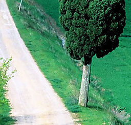 广东癫痫病治疗最好医院