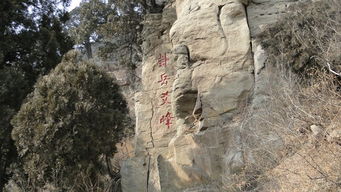 阐述治疗癫痫病最先进的方法