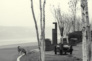 重庆癫痫病医院哪里好