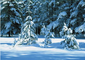 重庆癫痫病医院那个好