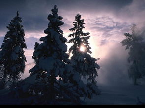 癫痫病中医能治愈