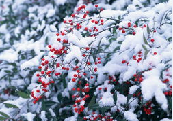 重庆癫痫科专科医院
