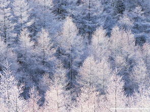 西宁那个医院治癫痫病好?