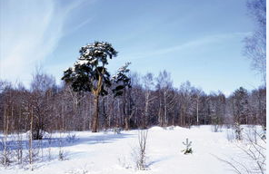 拉萨癫痫病医院哪家好