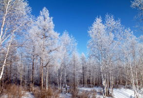西宁那家医院专治疗颠痫?