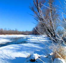 广州癫痫病专科医院哪个最好