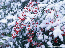 南昌癫痫病医院哪家好