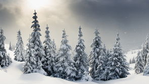 福州看癫痫病哪个医院最好