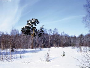 杭州癫痫病医院排名榜