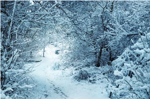 杭州癫痫病最好的医院