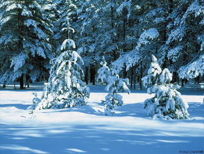 哈尔滨地方治癫痫病