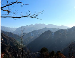 黑龙江癫痫的病能治好吗