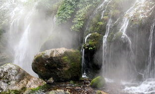 黑龙江癫痫哪里治癫痫最好