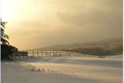 石家庄癫痫什么药治的好