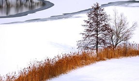 哈尔滨癫痫的最佳治疗时间