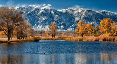 黑龙江癫痫医院怎么样