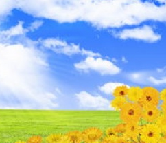 婴儿癫痫病症状有哪些