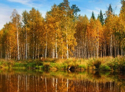 浙江癫痫病医院