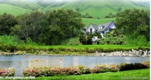 云南治癫痫的医院