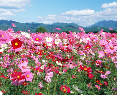 贵州癫痫病最好医院