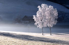 癫痫病贵州医院