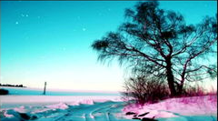 癫痫病什么药物不能用