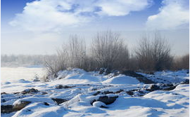 癫痫病用什么药能控制