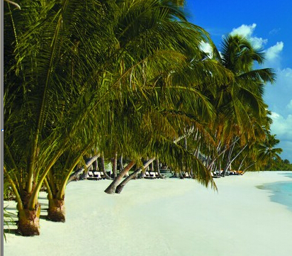 昆明癫痫专科医院排名