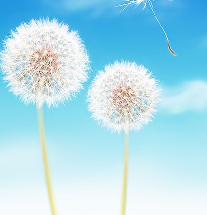 上海癫痫医院哪最好