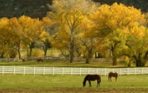 重庆看癫痫好的医院
