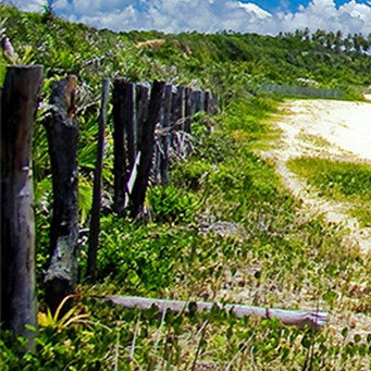 成都看癫痫哪家大医院好