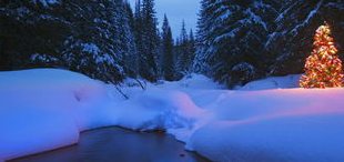成都权威癫痫病医院