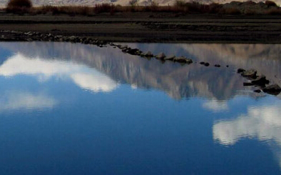 上海癫痫医院哪家好点