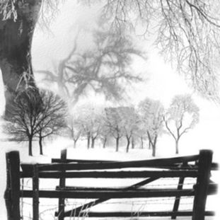 辽宁癫痫病治疗