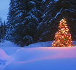 福建哪家医院看癫痫比较好呢