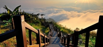 小儿得了癫痫能治愈么