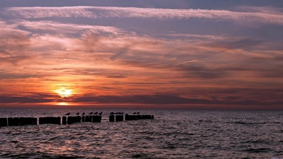 治疗癫痫病需要多钱