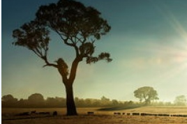 小儿癫痫病好治疗吗