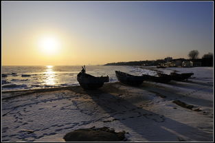 脑外伤癫痫的常见症状