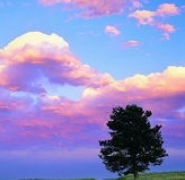 福建癫痫治疗医院在哪里