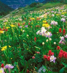 福建癫痫最好医院