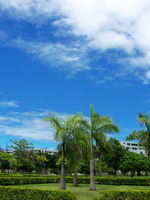 长春治疗癫痫在哪里