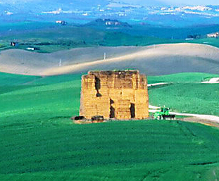 癫痫病患者能吃羊肉吗